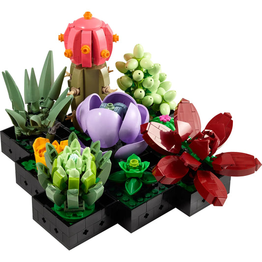 Botanical Collection: Succulents Building Kit