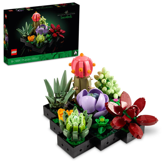 Botanical Collection: Succulents Building Kit