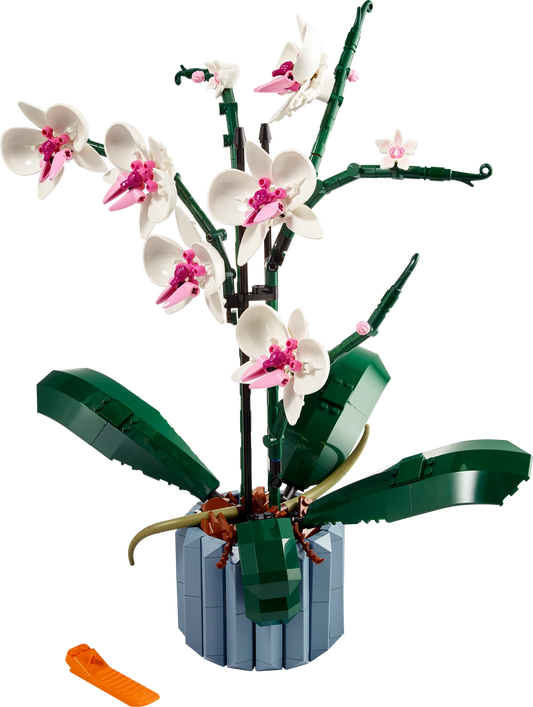 Botanical Collection: Orchid Building Kit