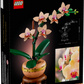 Botanical Collection: Mini Orchid Building Kit