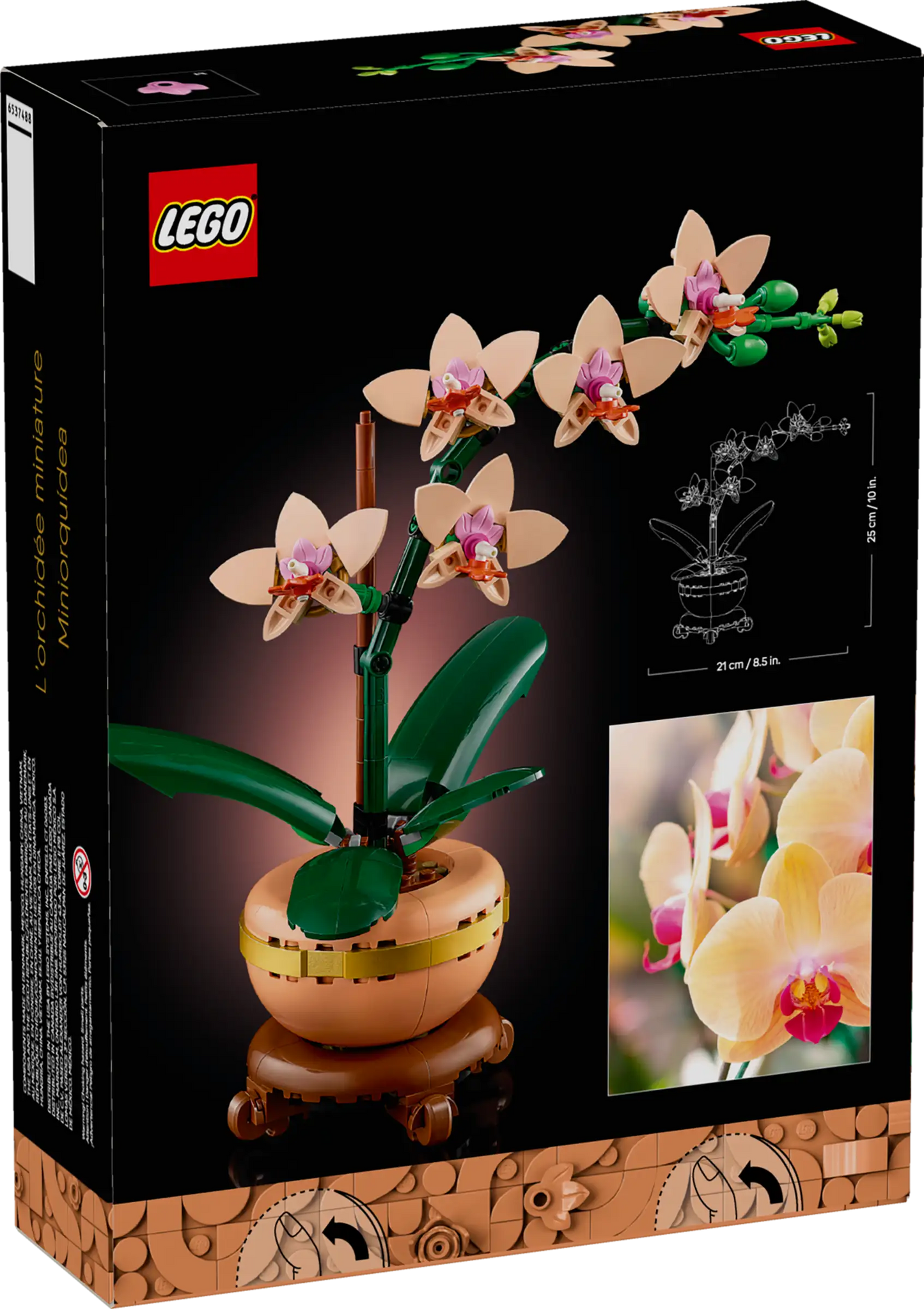 Botanical Collection: Mini Orchid Building Kit