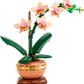 Botanical Collection: Mini Orchid Building Kit