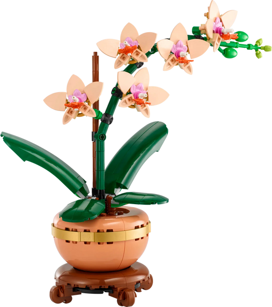 Botanical Collection: Mini Orchid Building Kit