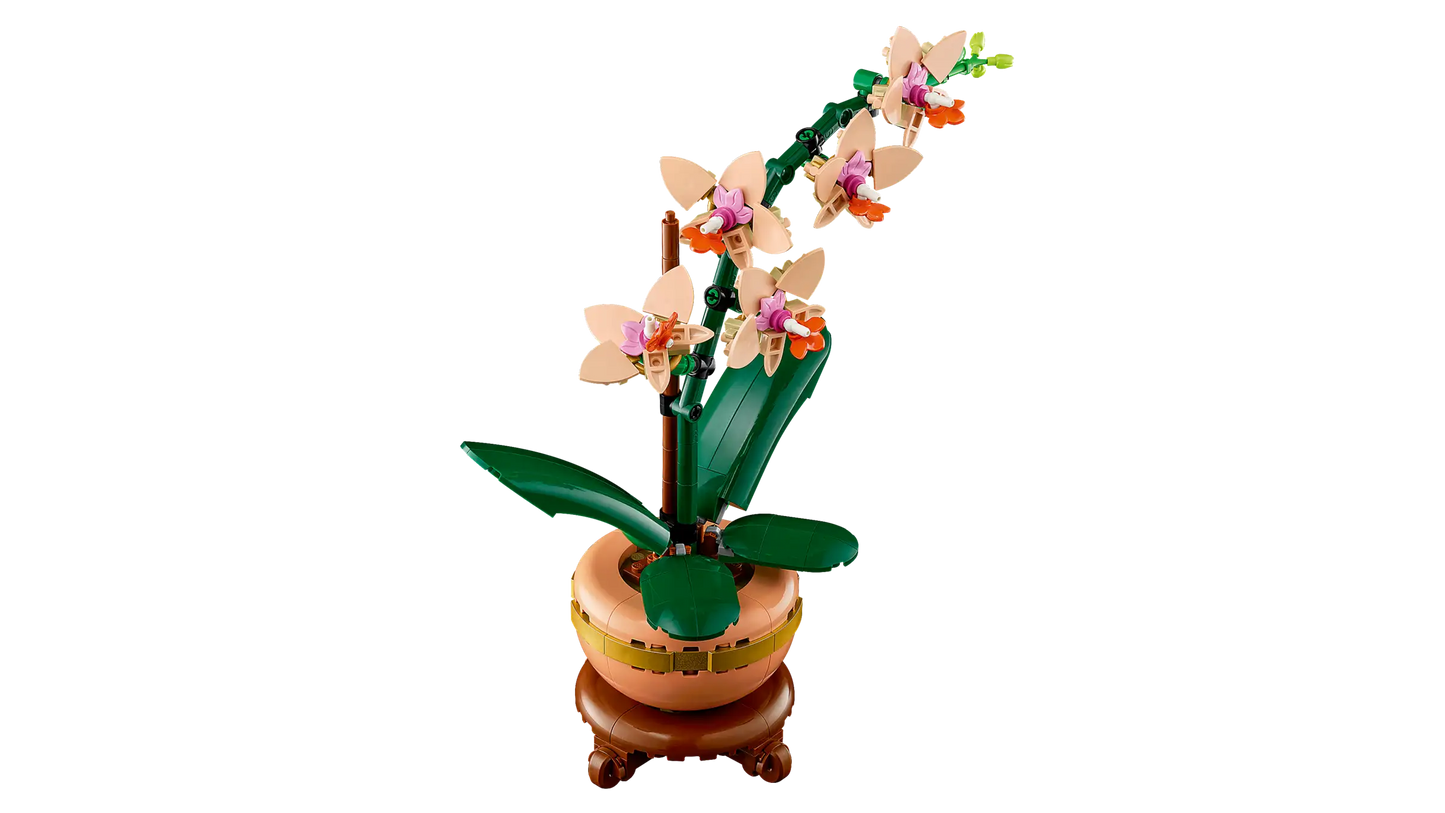 Botanical Collection: Mini Orchid Building Kit