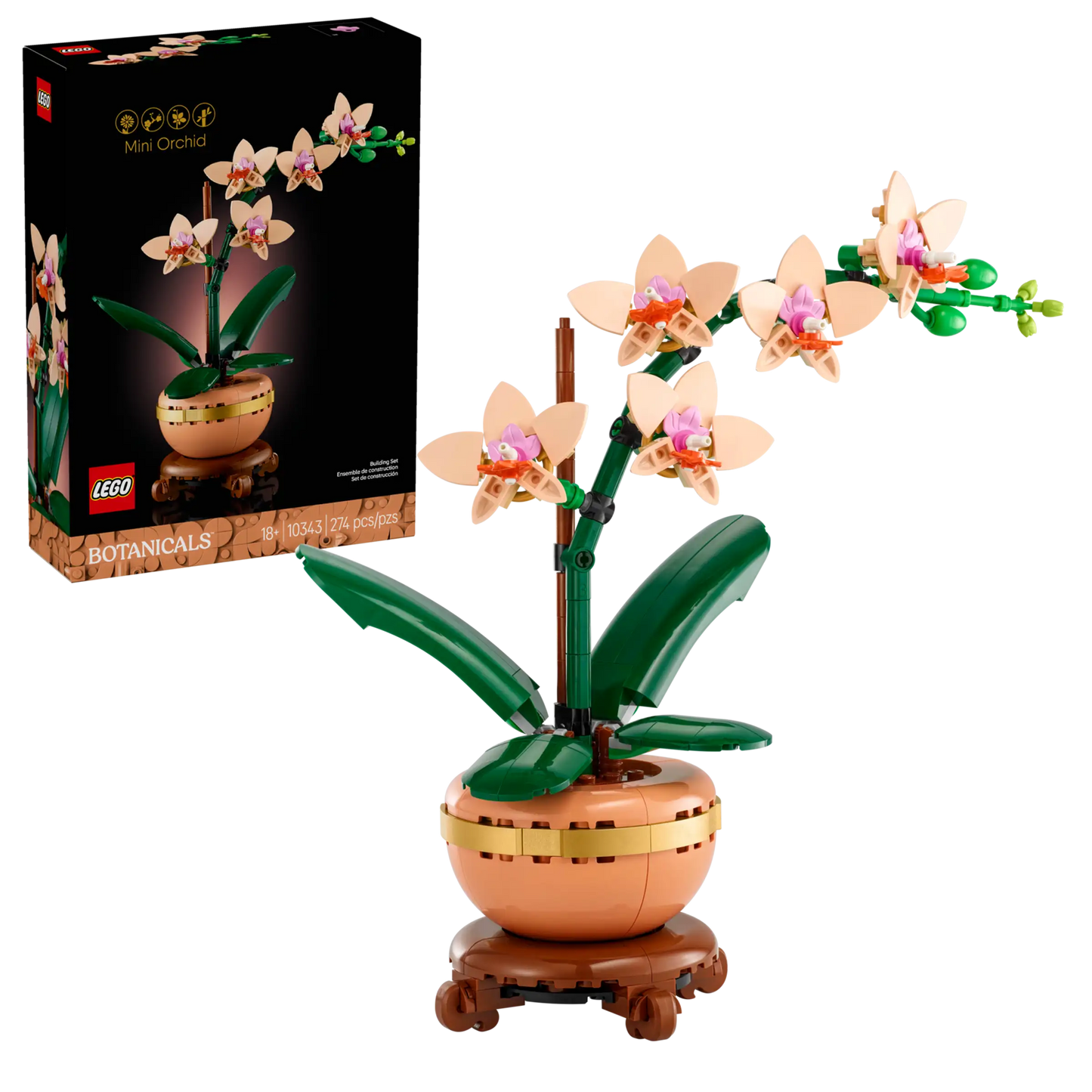 Botanical Collection: Mini Orchid Building Kit