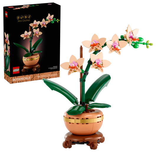 Botanical Collection: Mini Orchid Building Kit