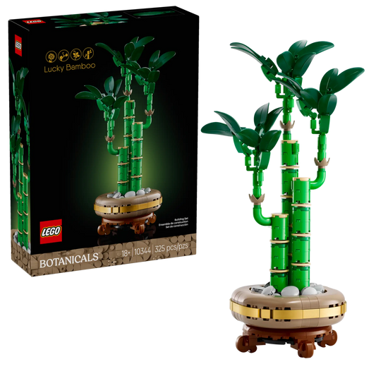 Botanical Collection: Lucky Bamboo Building Kit