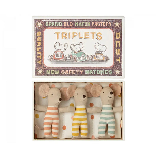 Baby Triplet Mice in Matchbox