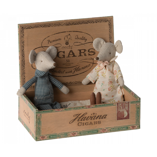 Grandma and Grandpa Mice in Cigarbox