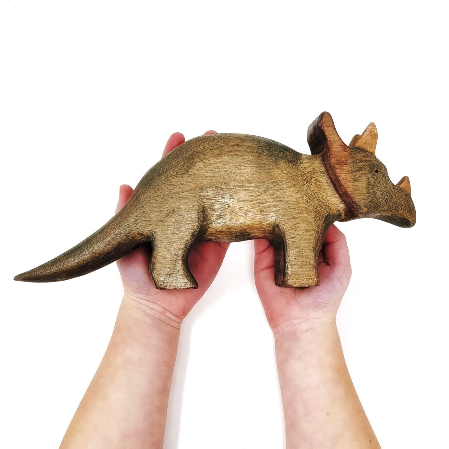 Tolkien the Triceratops