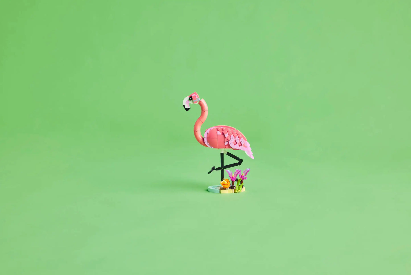 Creator: Wild Animals Flamingo Building Set