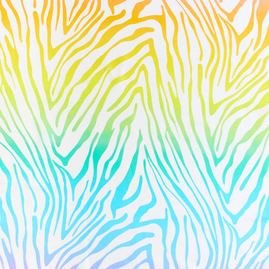 Rainbow Zebra Playsilk