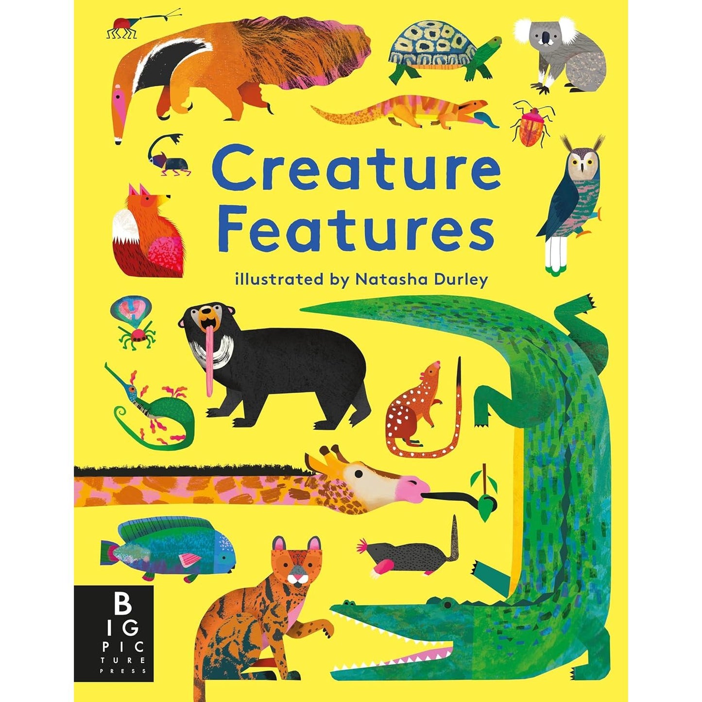 Creature Features - Board Book