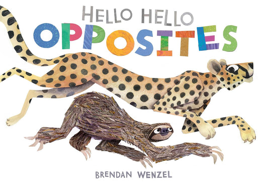 Hello Hello Opposites - Board Book