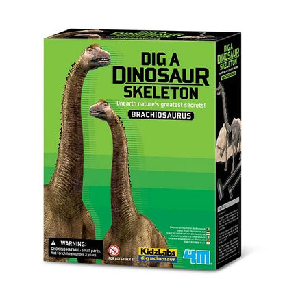 Dig a Dinosaur Kit