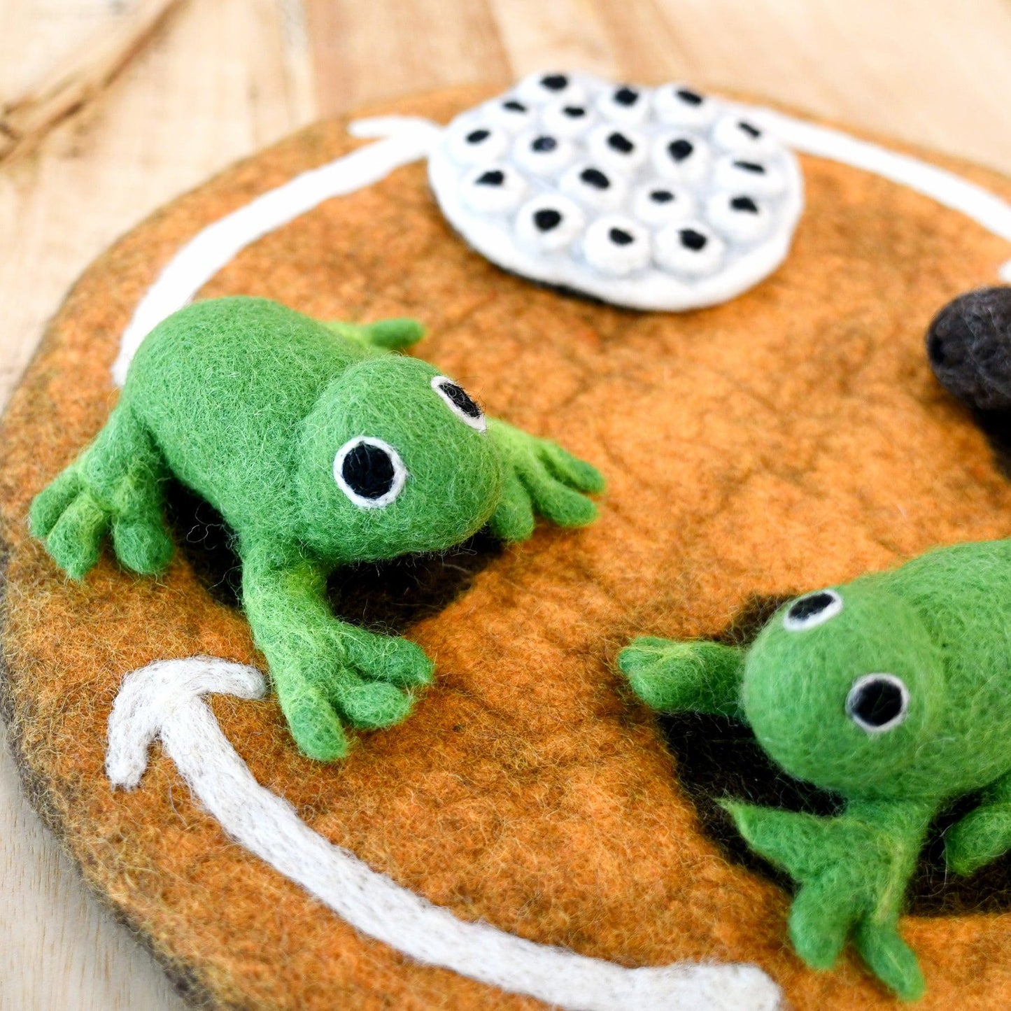 Felt Life Cycle - Frog