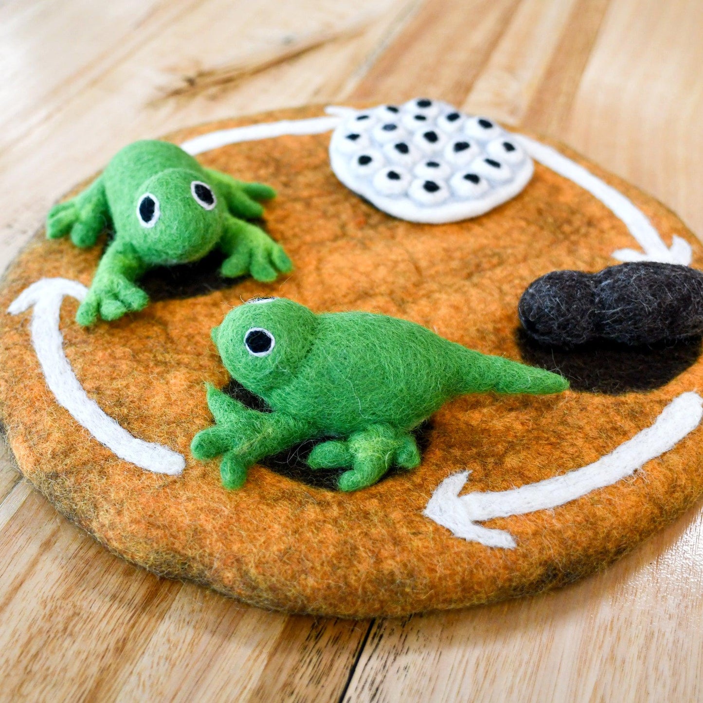 Felt Life Cycle - Frog