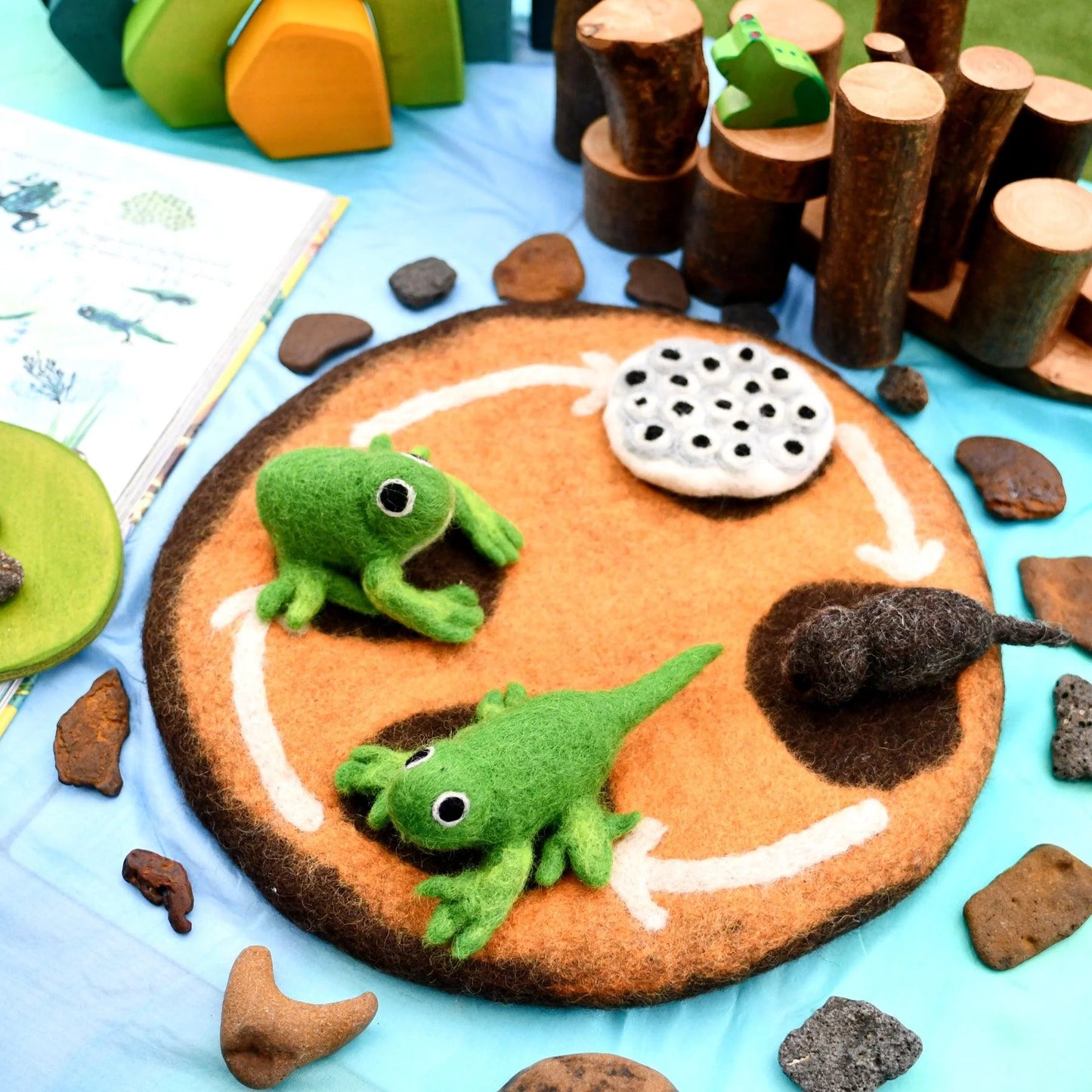 Felt Life Cycle - Frog