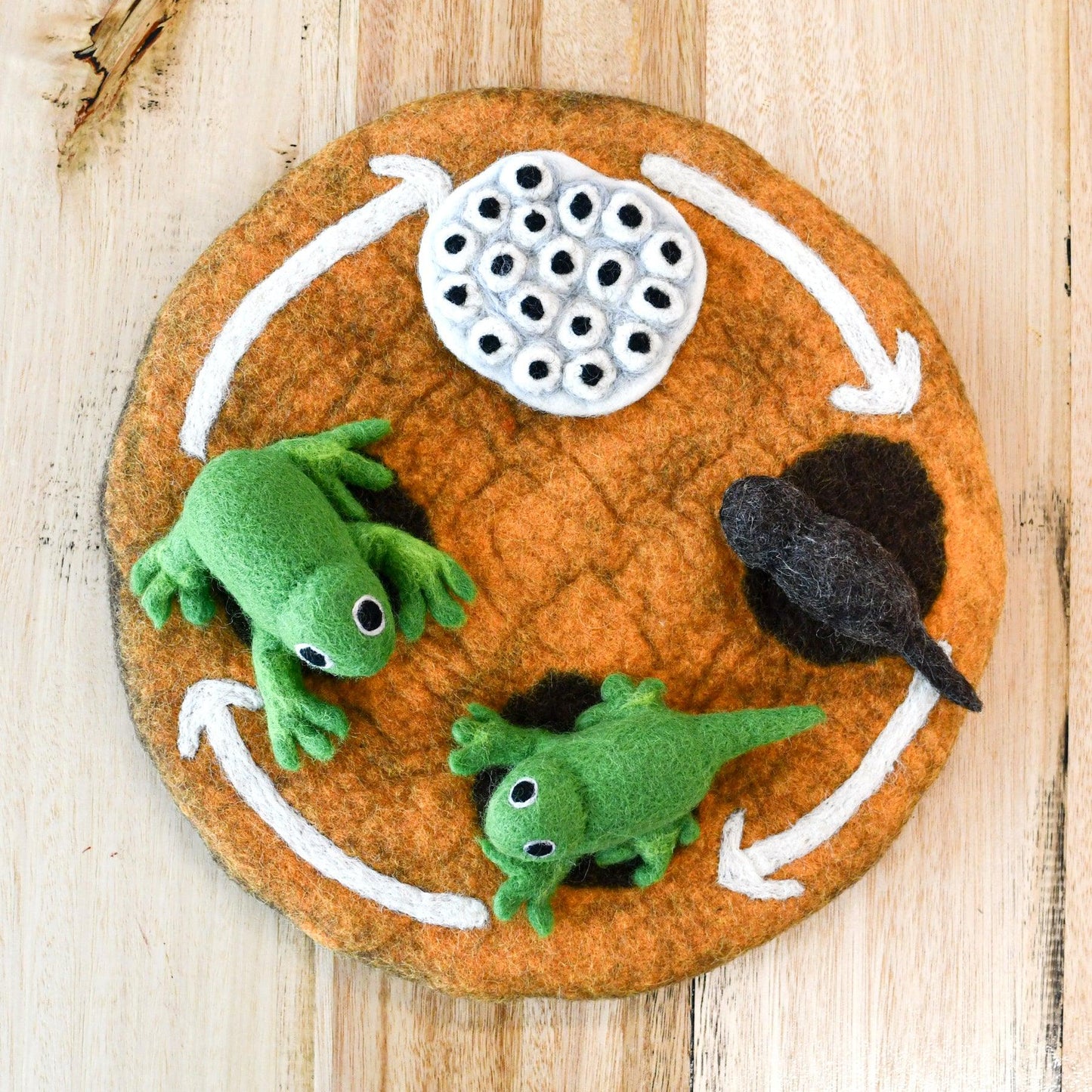 Felt Life Cycle - Frog