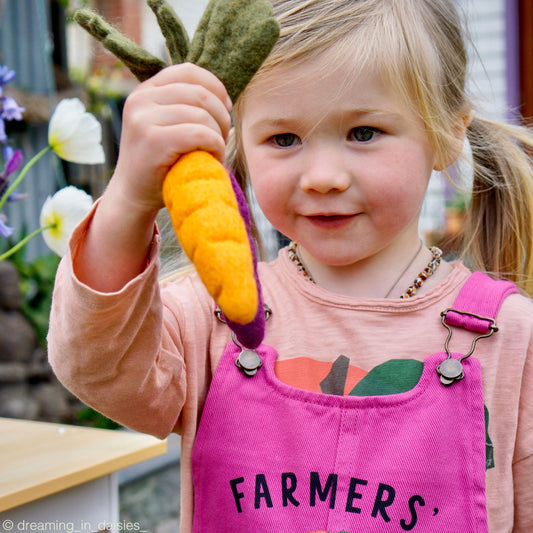 Felt Fruits & Vegetables - Carrot