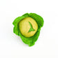 Felt Fruits & Vegetables - Lettuce