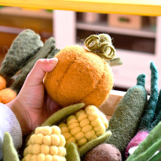 Felt Fruits & Vegetables - Pumpkin